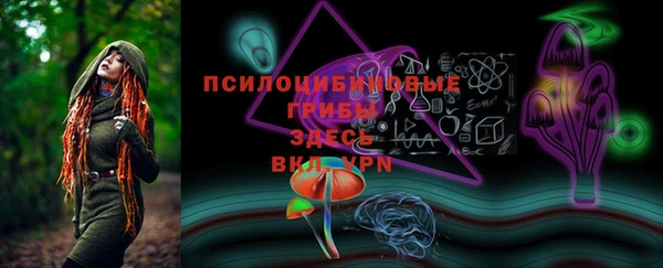 ешки Арсеньев