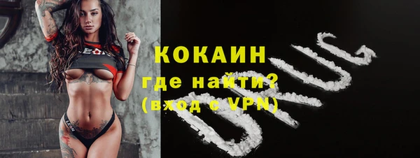 ешки Арсеньев