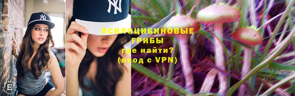 mdpv Армянск