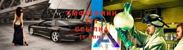 крисы Аркадак