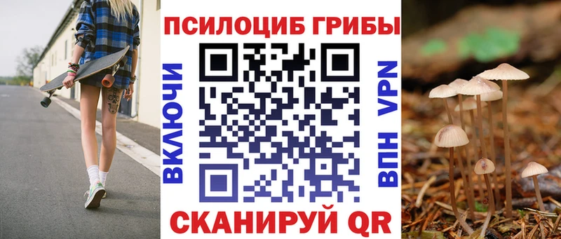 сколько стоит  Ладушкин  Галлюциногенные грибы мицелий 